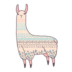 Vector cute lama illustration. Llama or alpaca hand drawn ink sketch. Cute mammal animal drawing with decorative ornaments © oxanaart
