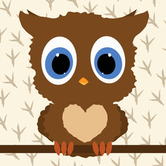 owl baby
