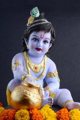 Hindu God Krishna