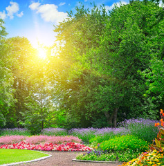 summer park with colorful flower bed and sunrise on blue sky