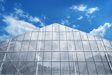 Fototapeta na wymiar Greenhouse Against reflective light Blue Sky