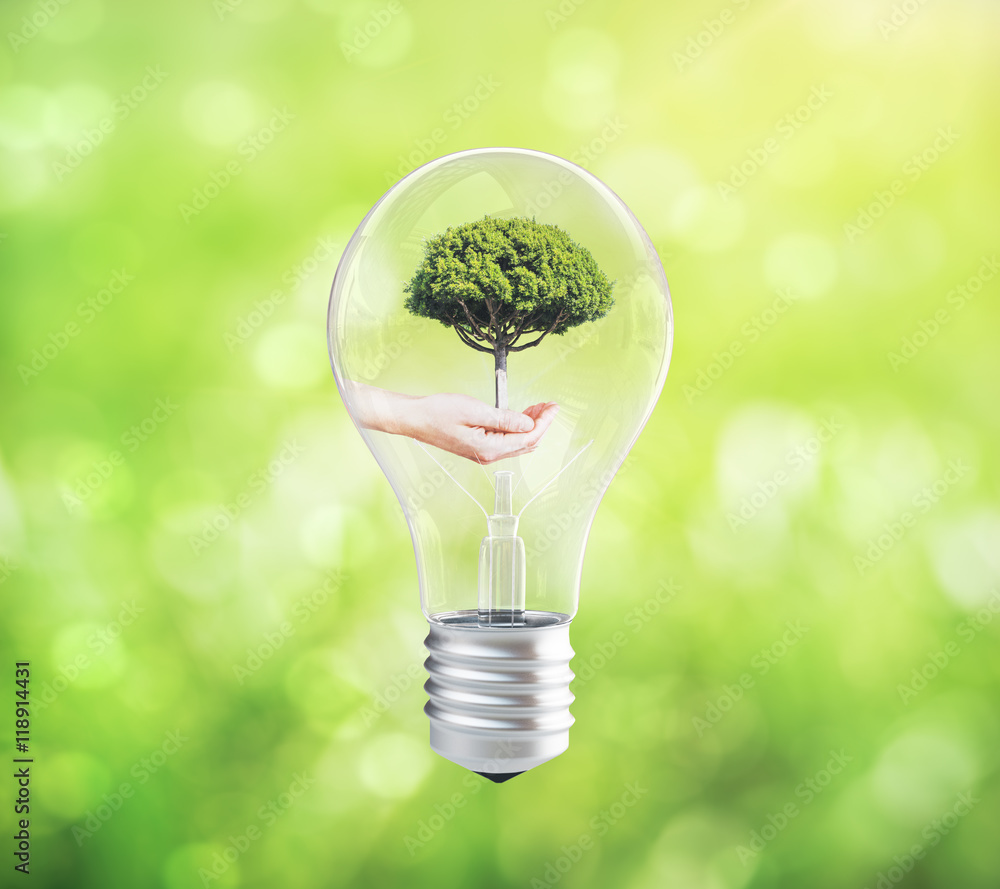 Poster lightbulb with hand holding tree inside