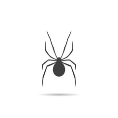 Spider Silhouette, icon.