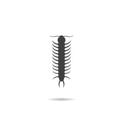 Icon, Silhouette of a Millipede.