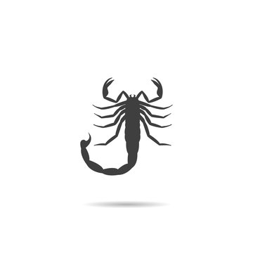 Icon, Silhouette of a scorpion.