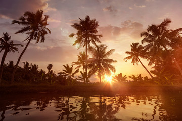 Fototapeta na wymiar Sunset on Kerala backwaters