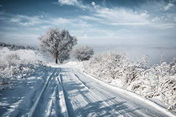 Snow road - 118916619