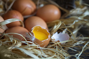 Fresh farm chicken eggs in basket on wooden surface