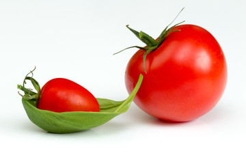 große und kleine rote Tomate mit Basilikumblatt