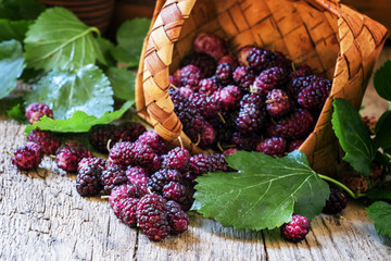 Purple mulberries in a basket, selective focus
