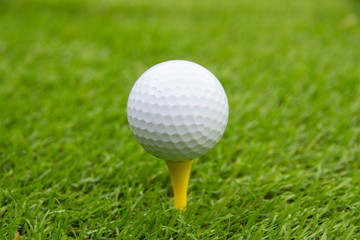 Golf ball on tee swing shot in grass green