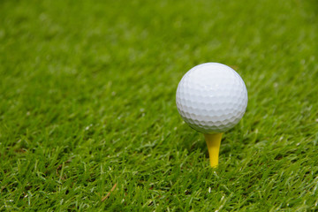 Golf ball on grass