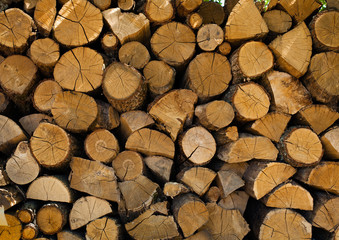 Pile of firewood. Preparation of firewood for the winter. Backgr