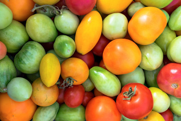 Fresh colorful vegetables tomatoes background