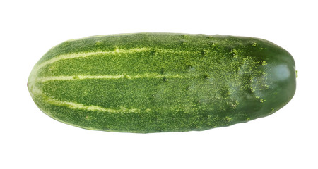 Green cucumber isolated on a white background.