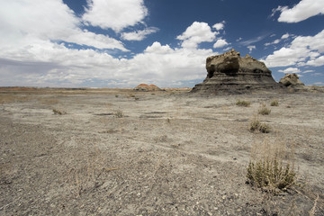 Bisti Wilderness Area