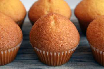 Vanilla muffins on old wooden background.Tasty muffin cakes.Selective focus.