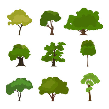 Tree icon set. Rree silhouette forest, leaf tree vector, tree isolated, tree branch