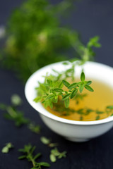 Thyme plant isolated on black background