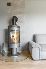Living room with modern fireplace