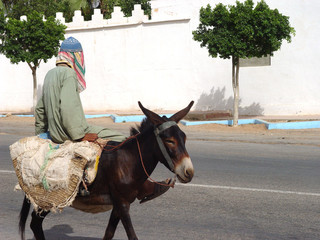 Elderly man riding on a donkey