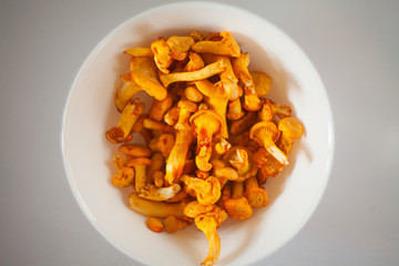 delicious chanterelle mushrooms