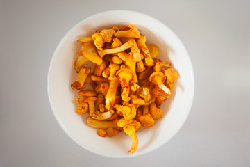 delicious chanterelle mushrooms