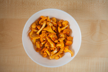 delicious chanterelle mushrooms