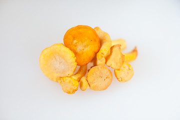 delicious chanterelle mushrooms