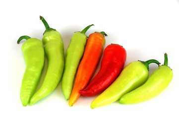 fresh colorful peppers on the white background