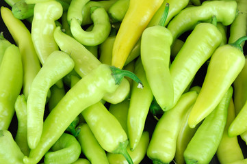 fresh farm picked yellow and green peppers