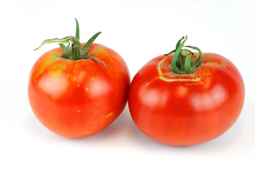 fresh farm picked tomatoes isolated on white background
