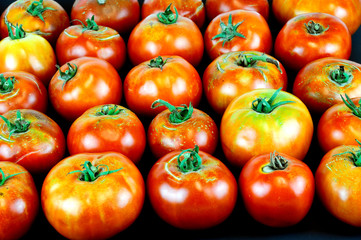 fresh farm picked tomatoes