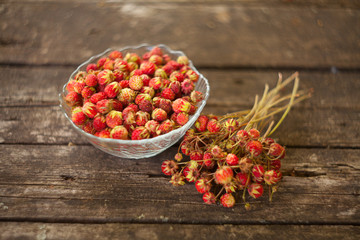 red berries on beautiful background