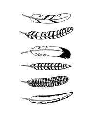Hand drawn feather © petrovskaya