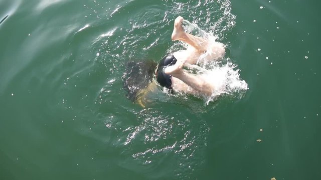 Swimming woman dives into clear water of lake