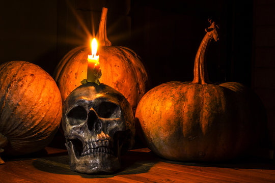 Skull on pile of dry pumpkin and bone pile with candle light , o