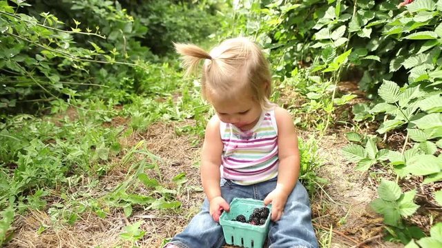 Young girl picking fresh blackberries in a field