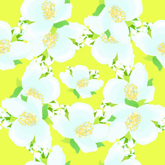 seamless pattern - grid with jasmine on a yellow background 