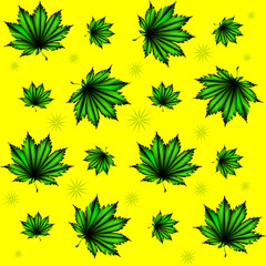 Pattern of green leaves. Maple leaf or fern for background or pattern.
