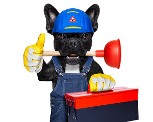 plumber dog with plunger