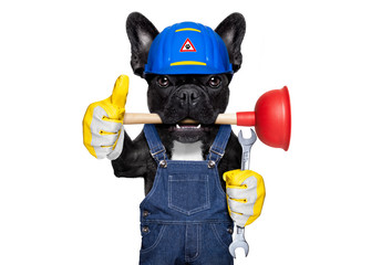 plumber dog with plunger