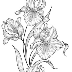 Floral seamless vertical decorative border. Flower iris etching pattern. Iris bouquet background