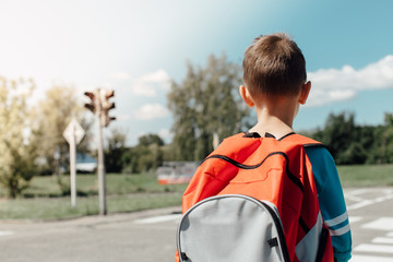 Rear view of a young student standing and waiting at zebra crossing