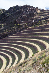 Fototapeta na wymiar farming terraces by the Inca
