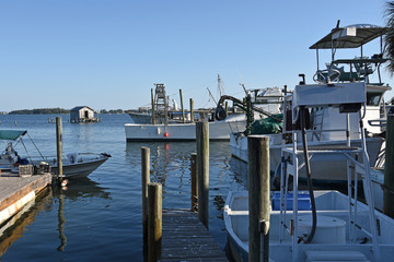 Fishing Boats at Marina © EyeMark