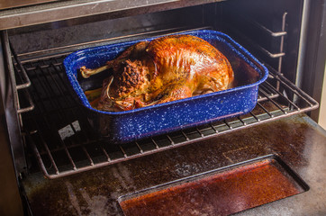 Roast turkey coming out of the oven