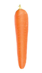 Carrot