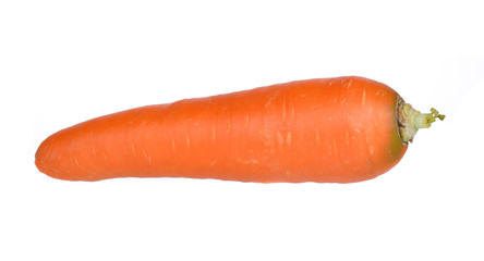 Carrot