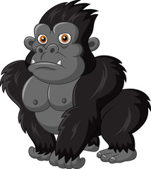 Fototapeta premium Cute gorilla isolated on white background 